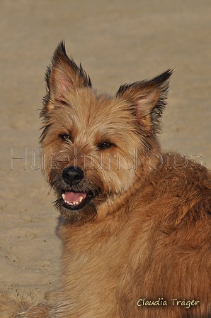 Hundestrand / Bild 331 von 376 / 22.09.2016 09:30 / DSC_1090.JPG