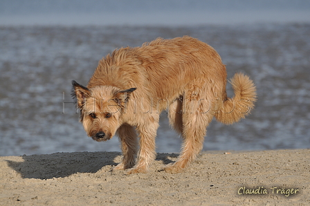 Hundestrand / Bild 333 von 376 / 22.09.2016 09:45 / DSC_1119.JPG