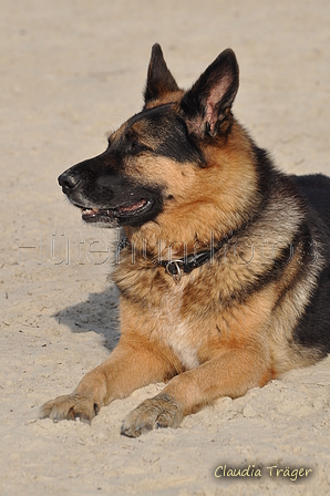 Hundestrand / Bild 356 von 376 / 22.09.2016 10:32 / DSC_1421.JPG