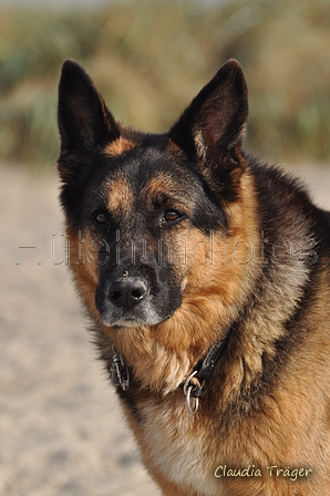 Hundestrand / Bild 359 von 376 / 22.09.2016 10:36 / DSC_1447.JPG