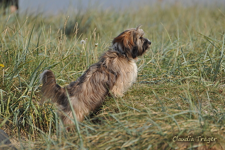 Hundestrand / Bild 362 von 376 / 22.09.2016 10:39 / DSC_1471.JPG