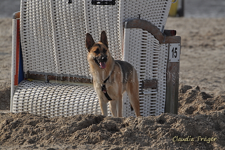 Hundestrand / Bild 374 von 376 / 22.09.2016 11:00 / DSC_1612.JPG