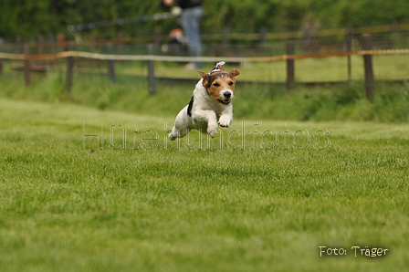 Jederhundrennen / Bild 58 von 143 / 01.05.2015 15:05 / DSC_2017.JPG