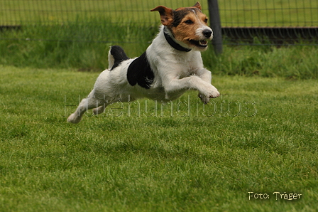 Jederhundrennen / Bild 59 von 143 / 01.05.2015 15:05 / DSC_2020.JPG