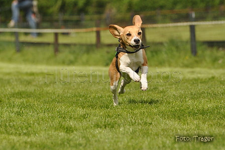 Jederhundrennen / Bild 67 von 143 / 01.05.2015 15:09 / DSC_2044.JPG