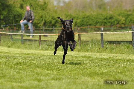 Jederhundrennen / Bild 71 von 143 / 01.05.2015 15:10 / DSC_2056.JPG