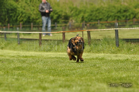 Jederhundrennen / Bild 74 von 143 / 01.05.2015 15:10 / DSC_2062.JPG