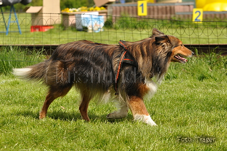 Jederhundrennen / Bild 76 von 143 / 01.05.2015 15:11 / DSC_2083.JPG