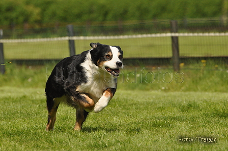 Jederhundrennen / Bild 80 von 143 / 01.05.2015 15:14 / DSC_2103.JPG