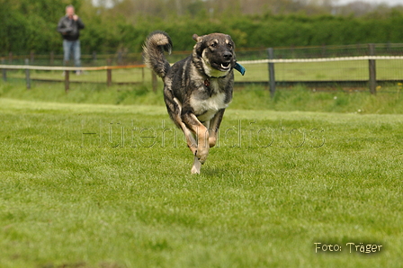 Jederhundrennen / Bild 103 von 143 / 01.05.2015 15:24 / DSC_2191.JPG