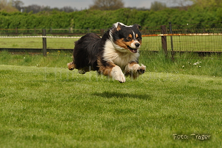 Jederhundrennen / Bild 111 von 143 / 01.05.2015 15:27 / DSC_2207.JPG