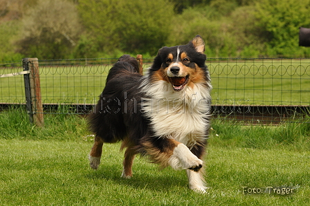 Jederhundrennen / Bild 113 von 143 / 01.05.2015 15:27 / DSC_2215.JPG