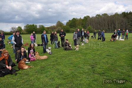 Jederhundrennen / Bild 130 von 143 / 01.05.2015 16:06 / DSC_6611.JPG