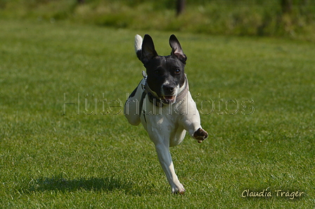 Jederhundrennen / Bild 10 von 488 / 01.05.2016 10:47 / DSC_7994.JPG