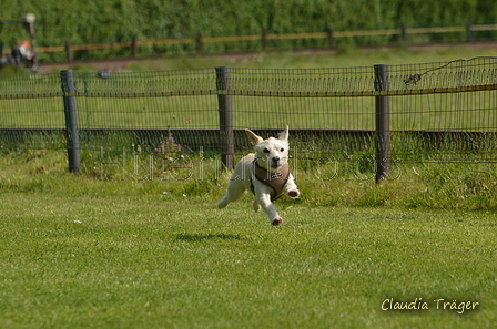 Jederhundrennen / Bild 18 von 488 / 01.05.2016 10:50 / DSC_8031.JPG