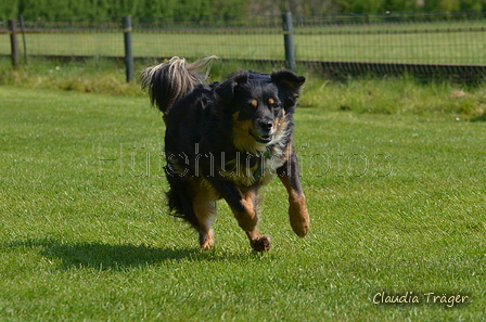 Jederhundrennen / Bild 67 von 488 / 01.05.2016 11:19 / DSC_8328.JPG