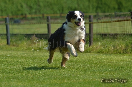 Jederhundrennen / Bild 70 von 488 / 01.05.2016 11:20 / DSC_8342.JPG