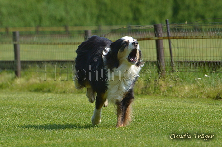 Jederhundrennen / Bild 71 von 488 / 01.05.2016 11:20 / DSC_8343.JPG