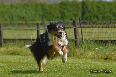 Jederhundrennen / Bild 82 von 488 / 01.05.2016 11:25 / DSC_8403.JPG