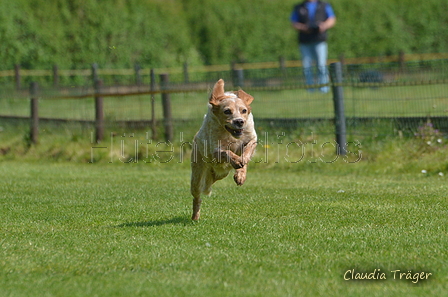 Jederhundrennen / Bild 84 von 488 / 01.05.2016 11:26 / DSC_8412.JPG