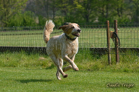 Jederhundrennen / Bild 89 von 488 / 01.05.2016 11:27 / DSC_8432.JPG