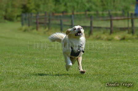 Jederhundrennen / Bild 93 von 488 / 01.05.2016 11:29 / DSC_8452.JPG