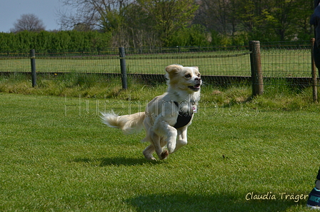 Jederhundrennen / Bild 94 von 488 / 01.05.2016 11:29 / DSC_8454.JPG