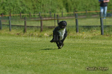 Jederhundrennen / Bild 110 von 488 / 01.05.2016 11:40 / DSC_8515.JPG