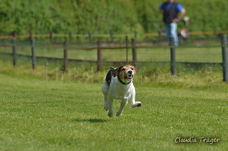 Jederhundrennen / Bild 126 von 488 / 01.05.2016 11:49 / DSC_8597.JPG