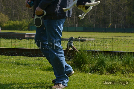 Jederhundrennen / Bild 128 von 488 / 01.05.2016 11:49 / DSC_8605.JPG