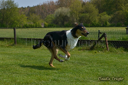 Jederhundrennen / Bild 150 von 488 / 01.05.2016 11:59 / DSC_8737.JPG