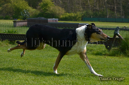 Jederhundrennen / Bild 151 von 488 / 01.05.2016 11:59 / DSC_8738.JPG