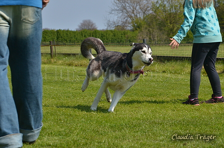 Jederhundrennen / Bild 158 von 488 / 01.05.2016 12:02 / DSC_8765.JPG