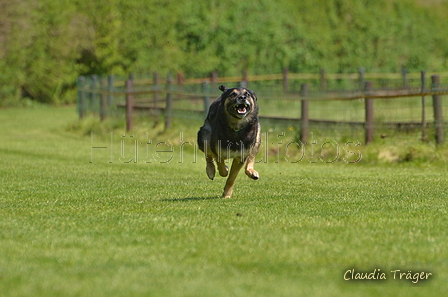 Jederhundrennen / Bild 184 von 488 / 01.05.2016 12:10 / DSC_8888.JPG