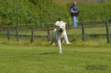 Jederhundrennen / Bild 190 von 488 / 01.05.2016 12:12 / DSC_8925.JPG