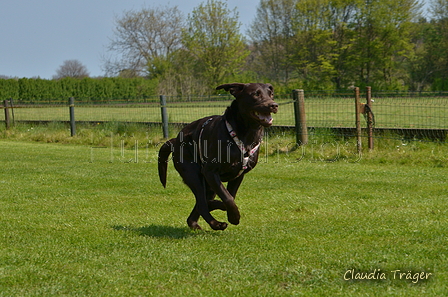 Jederhundrennen / Bild 196 von 488 / 01.05.2016 12:13 / DSC_8961.JPG