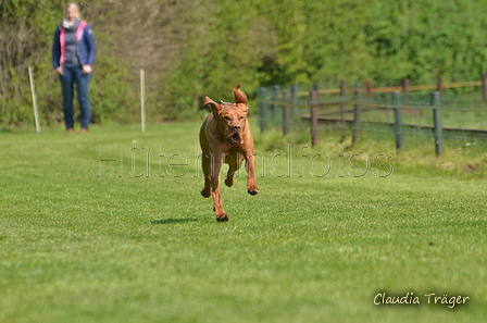 Jederhundrennen / Bild 197 von 488 / 01.05.2016 12:14 / DSC_8966.JPG