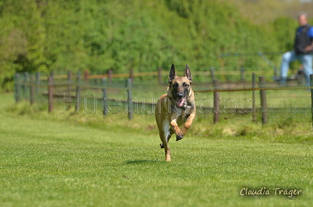 Jederhundrennen / Bild 205 von 488 / 01.05.2016 12:16 / DSC_8997.JPG