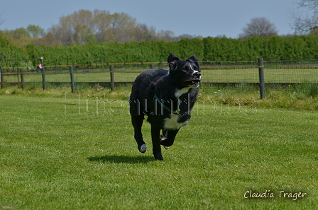 Jederhundrennen / Bild 211 von 488 / 01.05.2016 12:18 / DSC_9035.JPG