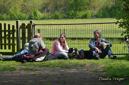 Jederhundrennen / Bild 245 von 488 / 01.05.2016 12:59 / DSC_9356.JPG