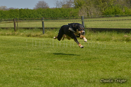 Jederhundrennen / Bild 246 von 488 / 01.05.2016 13:12 / DSC_9379.JPG