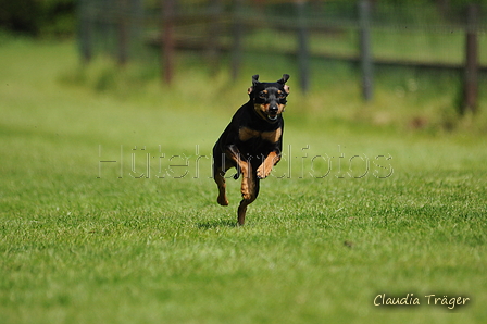 Jederhundrennen / Bild 260 von 488 / 01.05.2016 13:19 / DSC_9086.JPG