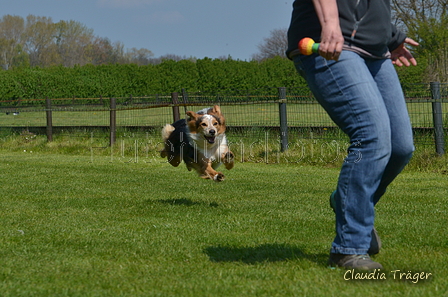 Jederhundrennen / Bild 310 von 488 / 01.05.2016 13:38 / DSC_9823.JPG