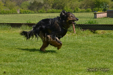 Jederhundrennen / Bild 326 von 488 / 01.05.2016 13:44 / DSC_9961.JPG