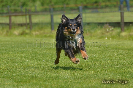 Jederhundrennen / Bild 335 von 488 / 01.05.2016 13:47 / DSC_0001.JPG