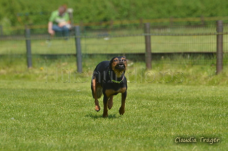 Jederhundrennen / Bild 337 von 488 / 01.05.2016 13:48 / DSC_0013.JPG