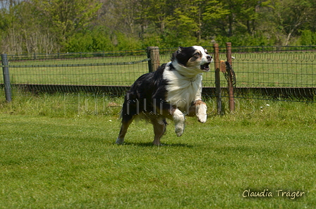 Jederhundrennen / Bild 339 von 488 / 01.05.2016 13:49 / DSC_0032.JPG