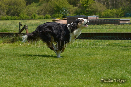 Jederhundrennen / Bild 341 von 488 / 01.05.2016 13:49 / DSC_0035.JPG