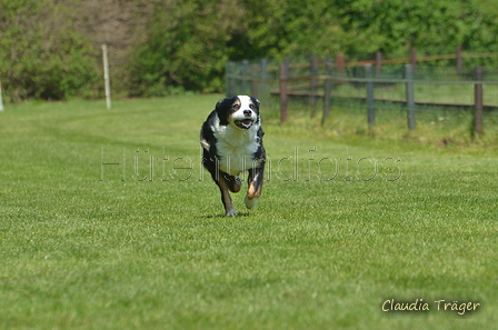 Jederhundrennen / Bild 342 von 488 / 01.05.2016 13:50 / DSC_0042.JPG