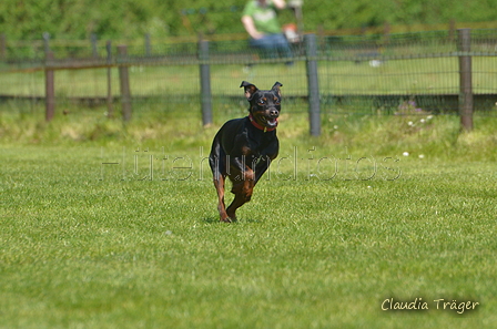 Jederhundrennen / Bild 344 von 488 / 01.05.2016 13:51 / DSC_0054.JPG